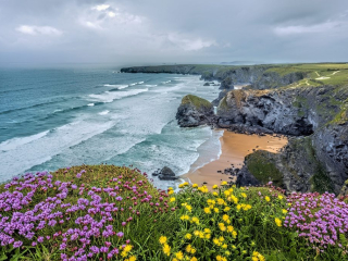 Bedruthan Steps Flowers copy